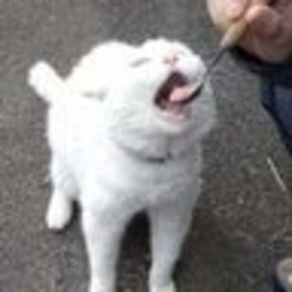 acuchanchan